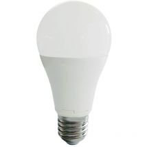 Ampoule led Globe E27 - 15W