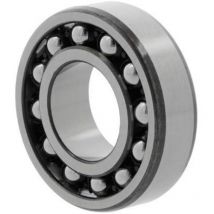 Pendelkugellager 2311 -TV Innen-Ø 55 mm Außen-Ø 120 mm Breite43 mm