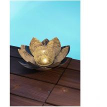 Nénuphar solaire Galix