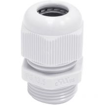 KVPG11GR Presse-étoupe vissable, avec décharge de traction PG11 PG11 Polyamide gris 1 pc(s) S599971