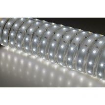 Strip led ip65 10w/m 6000k 1800lm 80 strisce da esterno 50051/f - Nobile Illuminazione