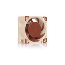 Noctua - NF-A4x20 pwm Computergehäuse Ventilator 4 cm Beige, Braun