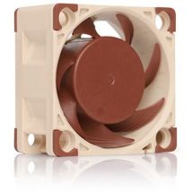 Noctua - NF-A4x20 pwm - Boitier pc - Ventilateur - 4 cm - 1200 tr/min - 5000 tr/min - 4400 tr/min (NF-A4X20 pwm)