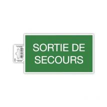 Ref. 67003E - 1 pannello adesivo emergency exit - In pvc antiscivolo e resistente ai raggi uv - Dimensioni pannello: 20 x 11 cm - Colore verde e
