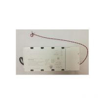 Normalux - KXLED-M2 2P emergency lighting conversion kit
