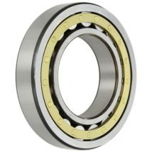 NSK Cylindrical Roller Bearing NU220EMCM