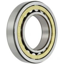 Nsk Nu1019 M C3 Nu1019mc3