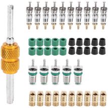 Ej.life - Núcleo de válvula de aire acondicionado, 46 piezas/juego, herramienta de extracción e instalación de núcleo de válvula Schrader para