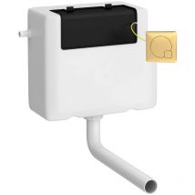 Mode - Nuie Concealed Cistern and Brushed Brass Square Dual Flush Plate - XTY8M03