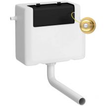 The Bath Co - Nuie Concealed Cistern and Brushed Brass Traditional Round Dual Flush Buttons - XTY8T03