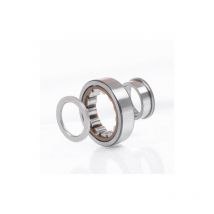 NUP320 cuscinetto a rulli cilindrici ETVP2C3 int. 100mm ext. 215 mm largo 47mm frocio