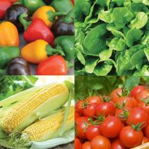 Thompson&morgan - Nurserymans Choice Veg Seed 75 Seed Packets