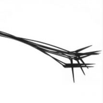 Système d'irrigation Nutriculture pour Wilma 10 small Wide