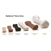 Friandise - Hollings - Bandes D'Oreille De Porc - 500g - Naturel - Pour Chiens Adultes