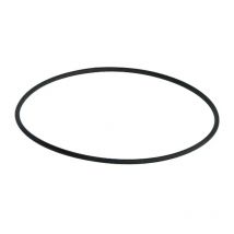 O-ring di diametro 98 mm per Wedi fundo primo