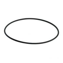 O-Ring Durchmesser 98 mm für Wedi fundo primo