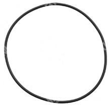 O-Ring für kompatible Bertolini Pumpen - 023367