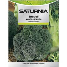 Brokkoli-Gartensamen