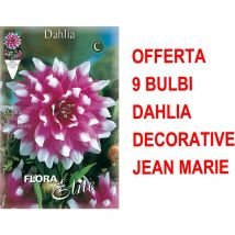 Offerta 9 bulbi primaverili dahlia decorative jean marie bulbes bulbs