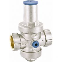 Riduttore Di Pressione a Pistone 1' 1/4 Pn25 Con Bocchettone Maschio/Maschio - Officine Rigamonti