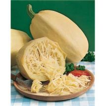 Courge cucurbita ficifolia - Graines de légumes - 5 g