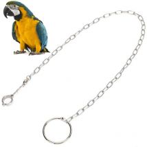 Oiseau Pied Chaîne Volant En Acier Inoxydable Formation Corde En Plein Air Perroquet Cheville Pied Anneau Accessoires Oiseau Harnais Taille 10