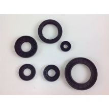 Ldichtring 17x30x6 Attila Gebläse aeb 900 Code 030279