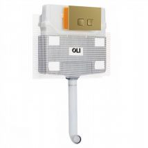 120 Plus Mechanical Mid Height Concealed Cistern and Basal Brushed Brass Soft Touch Dual Flush Plate with Square Push Buttons - OLI