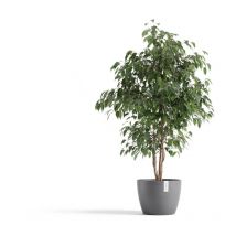 Olla Redonda Stockholm 31 Gris - ø 31 x h. 23,3 cm - 12,9 l Ecopots