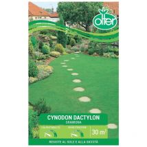 Seme Prato Gramigna Cynodon Dactylon 500g Olter