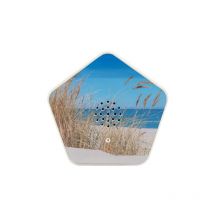 Olymp Sons de la Nature Box