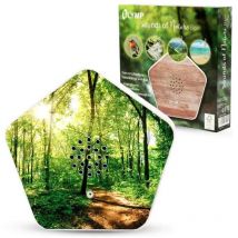 Olymp Suoni di Natura Box