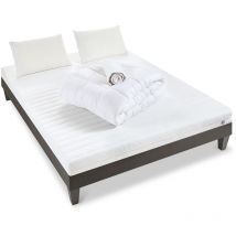 Pack Prêt à dormir egio 160x200 cm Matelas Latex Like + Sommier Bois + Accessoires - Olympe Literie