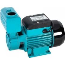 Omnigena Hydrofor Wz 250 Cw Pumpe 0,25 Kw 230v