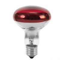 Eurolite 9210360U Ampoule halogène E27 réflecteur 60 w rouge 1 pc(s) S227702