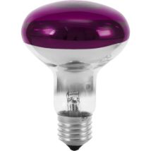 Omnilux - Eurolite 9210440u Ampoule Halogène E27 Réflecteur 60 W Violet (ø X L) 80 Mm X 110 Mm 1 Pc(s) S227762