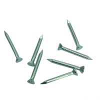 Onduline - Stahlnägel Fondaline 32 mm 50 Stk. Entwässerung & Drainage