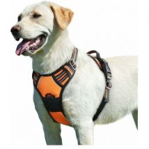 Dolaso - Orange, Hundegeschirr, verstellbares, reflektierendes Anti-Pull-Hundegeschirr, einfach anzulegen, mit Kontrollgriff, atmungsaktives