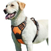 Tigrezy - Orange, L,Harnais Chien, Harnais Anti Traction pour Chien Réfléchissant Réglable, Facile à Mettre, avec Poignée Contrôle, Arnet pour Chien