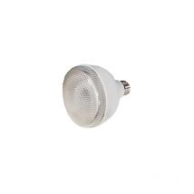 131048 Bulb E27 20W 4000K - Orbitec