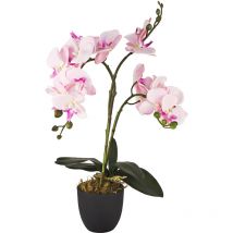 Orchidée Plante Artificielle Artificiel avec Pot 45 cm Rose Decovego