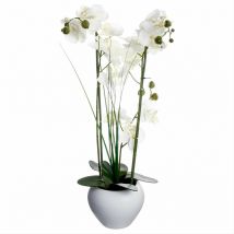Orchidée Artificielle avec Vase en Céramique H53cm - Noir Silumen