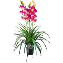 Orchidée Plante en Pot Artificielle Artificiel Sélection Decovego