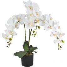 Orchidée Plante en Pot Artificielle Artificiel Sélection Decovego