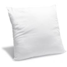 Oreiller Anti punaises de lit - Confort Moelleux - 60x60cm