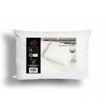 Oreiller anti-acarien confort 50x70 cm, par Intemporel