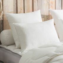 Oreiller Coton Air Cool - Medium - 65/65 - Dodo