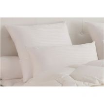 Oreiller Drouault oreiller arica 60X60
