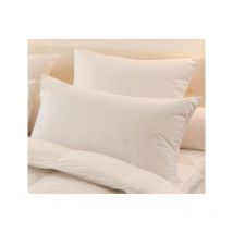 Oreiller Drouault oreiller melior 65X65