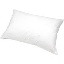 Oreiller grizz'lit plumes - Plumes de Canard Rectangulaire Plumes de canard 75x50 cm